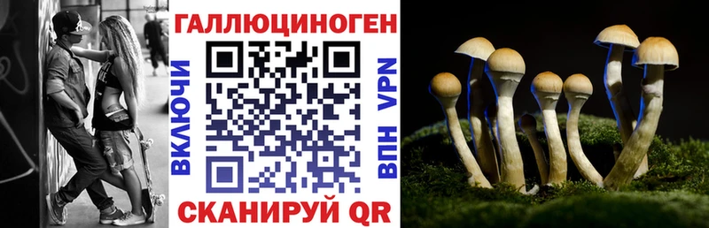 Псилоцибиновые грибы прущие грибы Сатка